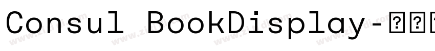 Consul BookDisplay字体转换